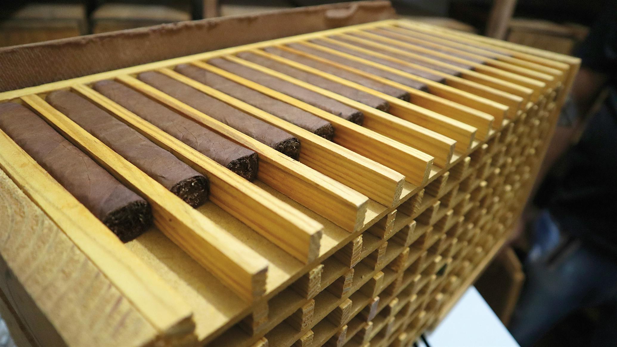 Trunk pressed cigars
